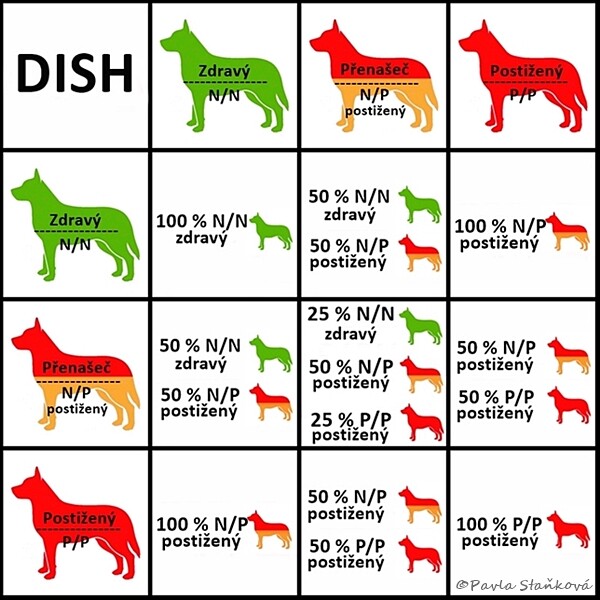 cceska verze publikovat