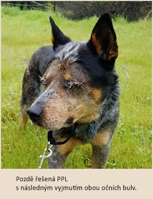 28827146_1532814636816904_7740072561152774064_o