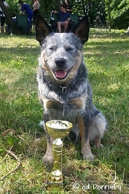 Caramel Mikulov 2020