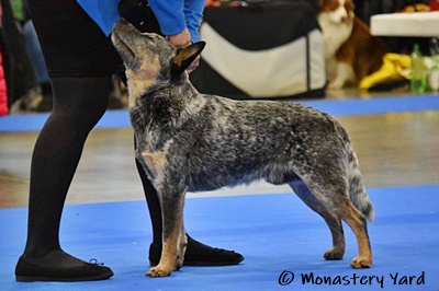 Caramel duocacib2020