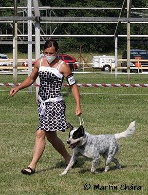 KV MB 20.6.21 Sitver Migaloo Cinderellas Ranch