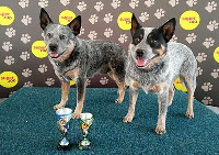 NV Brno 4.6.21 Caro a Gucci